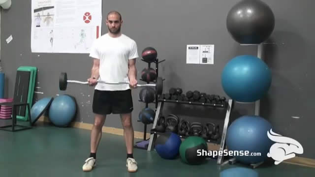 An image of a man performing the EZ bar curl exercise.