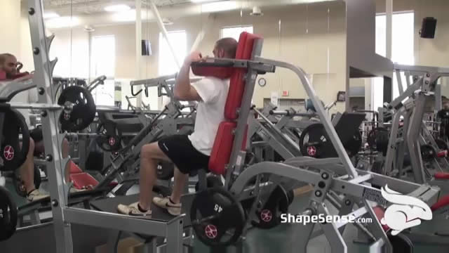 An image of a man performing the hack squat exercise.