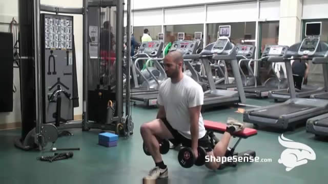 An image of a man performing the one leg dumbbell squat (Bulgarian squat) exercise.