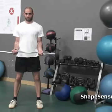 An image of a man performing the EZ bar curl exercise.