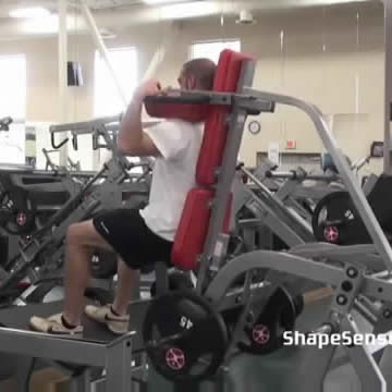 An image of a man performing the hack squat exercise.