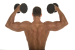 a thumbnail image of a view of a man's back while he builds muscle by lifting weights